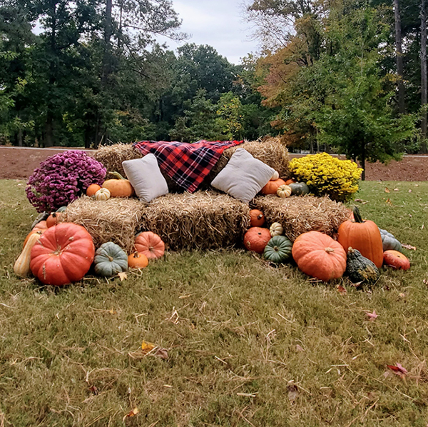 Cozy fall festival photo op with hay bales, colorful mums, pumpkins, and seasonal décor.