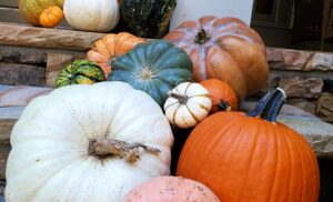Heirloom and traditional pumpkins arranged in a custom fall display for a North Atlanta home