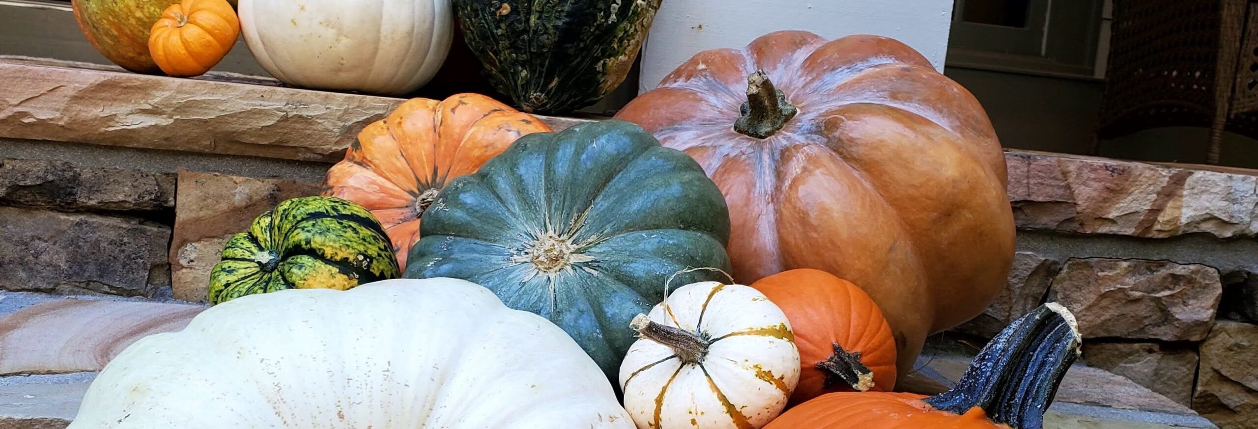 Heirloom and traditional pumpkins arranged in a custom fall display for a North Atlanta home