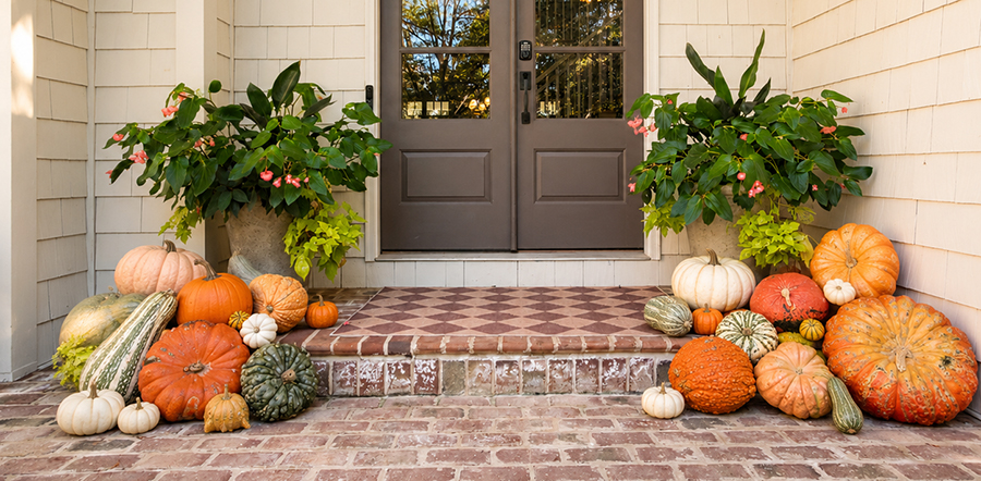 Pumpkin porch display with heirloom pumpkins and gourds styled around a front entryway with brick steps and large planters.