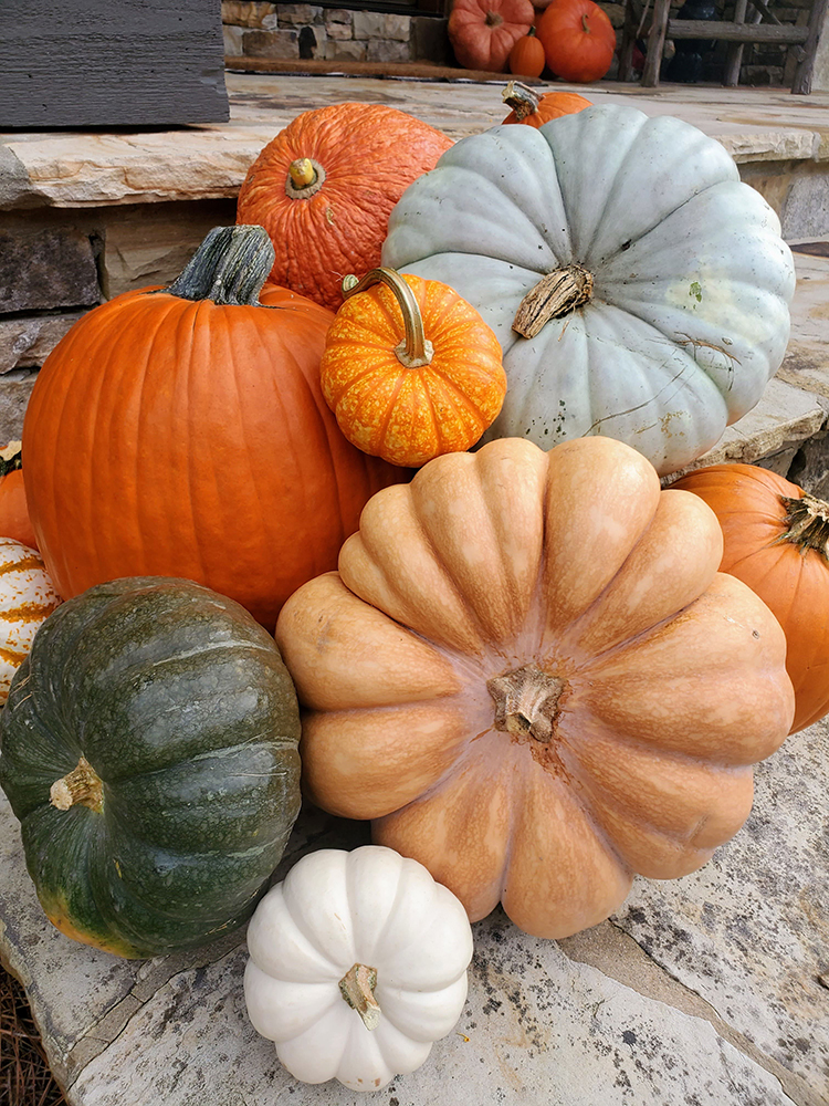 Professional pumpkin porch decorating service with heirloom pumpkins styled on a North Atlanta front porch.