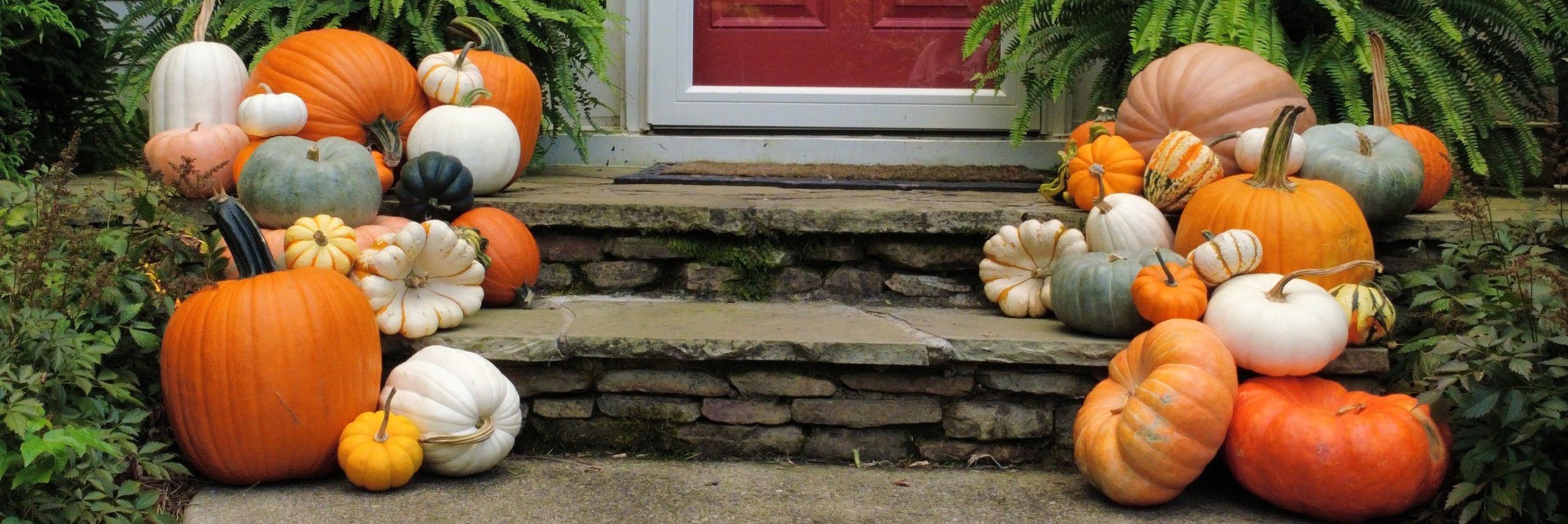 Custom pumpkin porch design with orange, white, green and heirloom pumpkins styled around a North Atlanta front entry for fall.